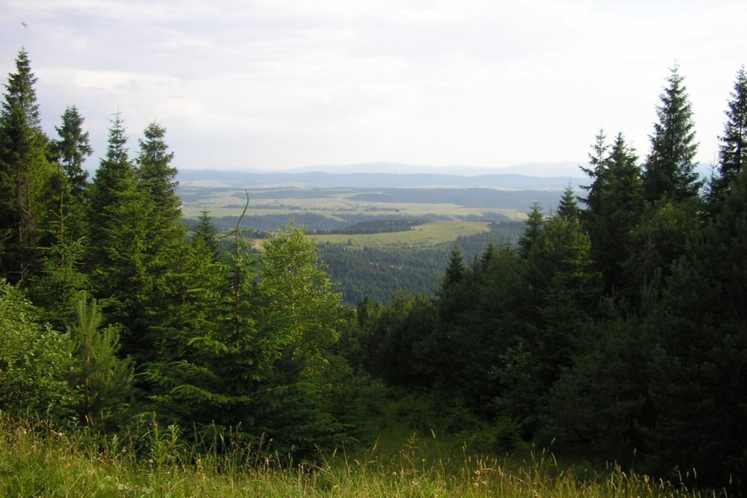 Панорами Карпат по дорозі до витоку Дністра
