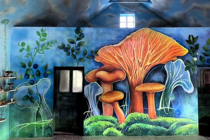 Ільці. Музей грибів. Фото report.if.ua