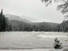 Озеро Синевир, медведи, горы и канатка