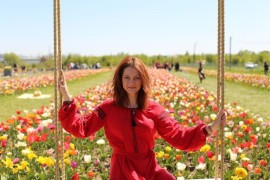 Чернівці - український Париж + долина тюльпанів