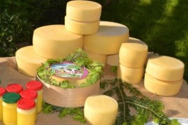 До бойків на сир + SPA