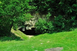 Медова печера з Миколою Майданським